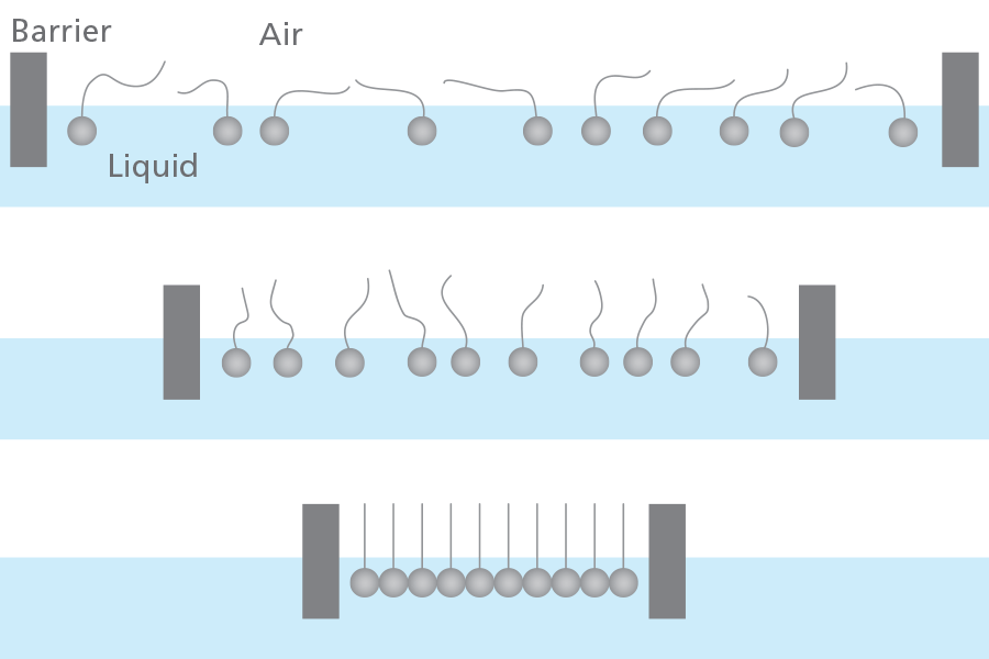 Langmuir & Langmuir Blodgett Measurements